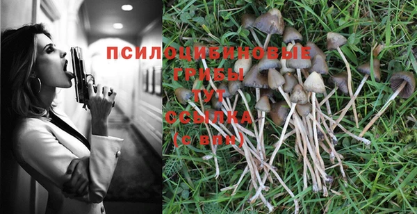 стаф Лагань
